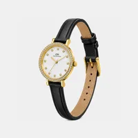 Daniel Wellington Mother Of Pearl Round Dial Analog Women's Watch DW0DL2500, gallery view 3