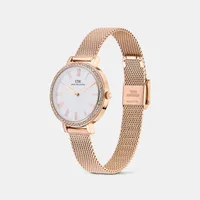 Daniel Wellington Silver Round Dial Analog Women's Watch DW0DL3201, gallery view 3